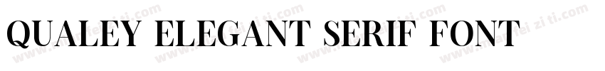 Qualey Elegant Serif Font字体转换